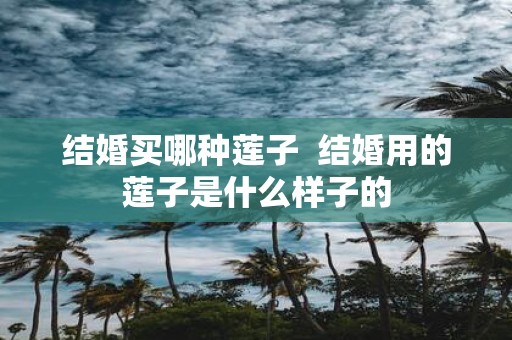 结婚买哪种莲子 结婚用的莲子是什么样子的