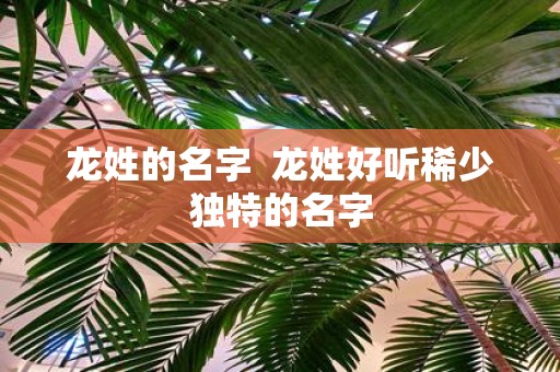 龙姓的名字 龙姓好听稀少独特的名字