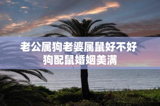 老公属狗老婆属鼠好不好 狗配鼠婚姻美满