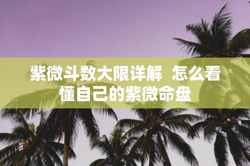 紫微斗数大限详解 怎么看懂自己的紫微命盘