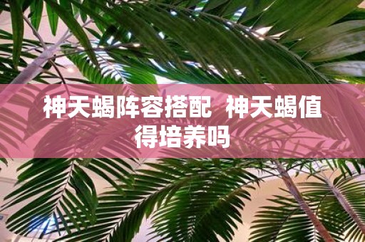 神天蝎阵容搭配 神天蝎值得培养吗