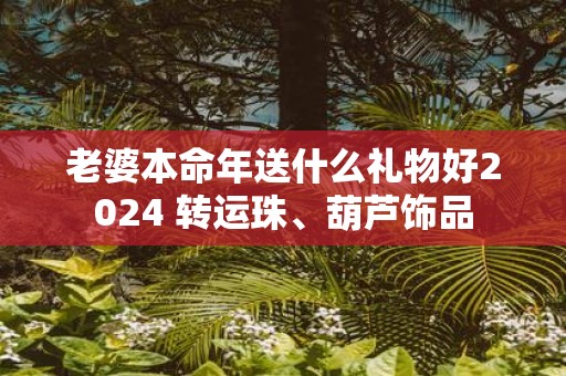 老婆本命年送什么礼物好2025 转运珠、葫芦饰品