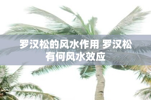 罗汉松的风水作用 罗汉松有何风水效应