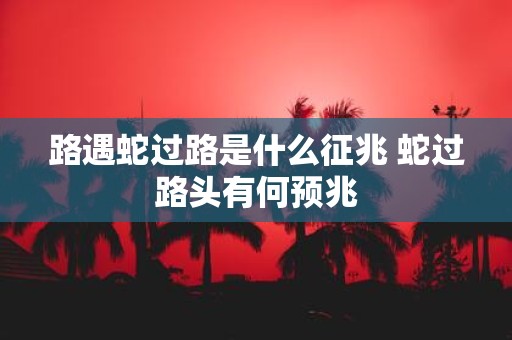 路遇蛇过路是什么征兆 蛇过路头有何预兆