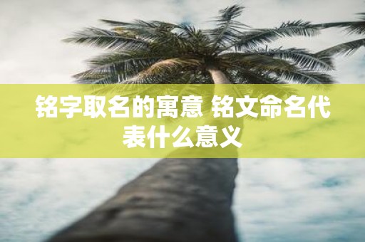 铭字取名的寓意 铭文命名代表什么意义