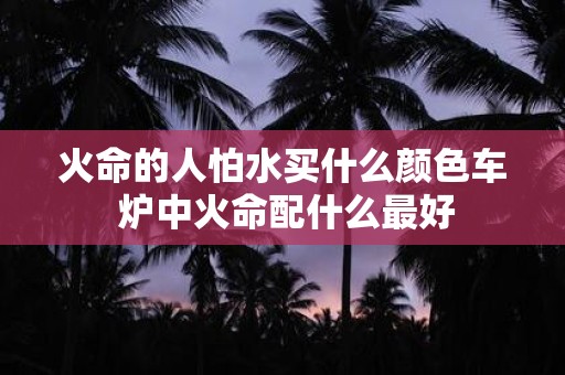 火命的人怕水买什么颜色车 炉中火命配什么最好