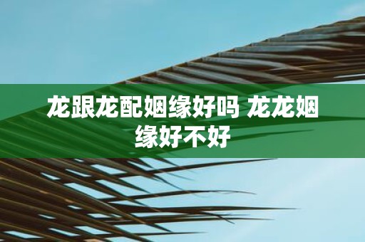 龙跟龙配姻缘好吗 龙龙姻缘好不好
