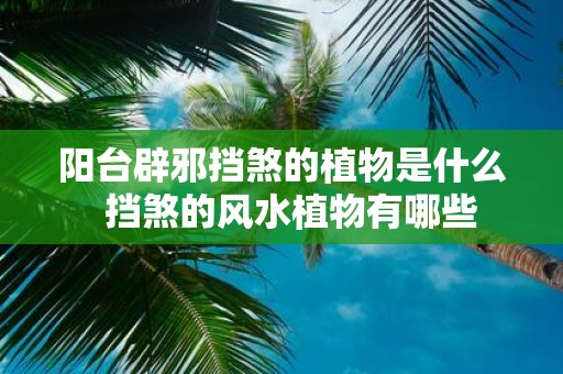 阳台辟邪挡煞的植物是什么 挡煞的风水植物有哪些