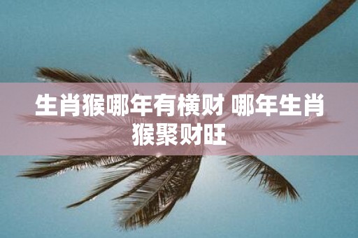 生肖猴哪年有横财 哪年生肖猴聚财旺