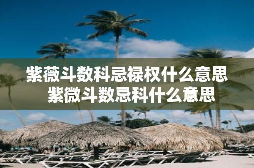 紫薇斗数科忌禄权什么意思 紫微斗数忌科什么意思