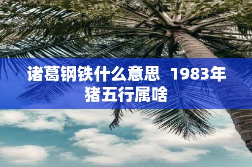 诸葛钢铁什么意思 1983年猪五行属啥