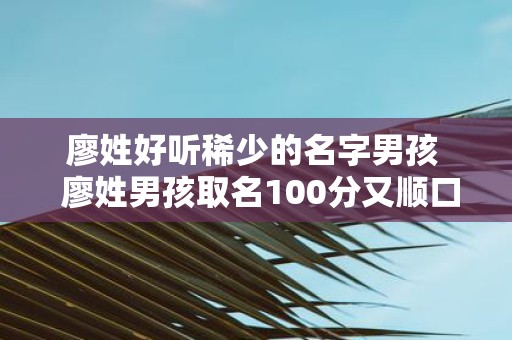 廖姓好听稀少的名字男孩 廖姓男孩取名100分又顺口