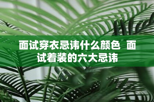 面试穿衣忌讳什么颜色 面试着装的六大忌讳