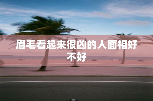 眉毛看起来很凶的人面相好不好