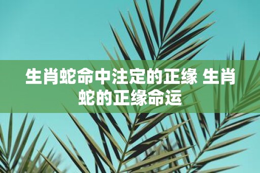 生肖蛇命中注定的正缘 生肖蛇的正缘命运