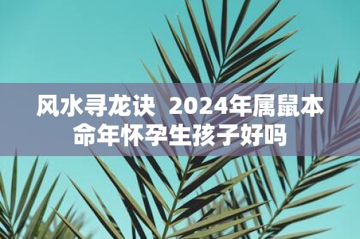 风水寻龙诀 2025年属鼠本命年怀孕生孩子好吗