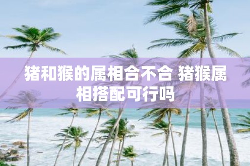 猪和猴的属相合不合 猪猴属相搭配可行吗