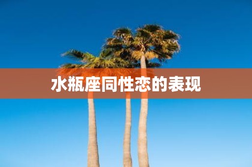 水瓶座同性恋的表现
