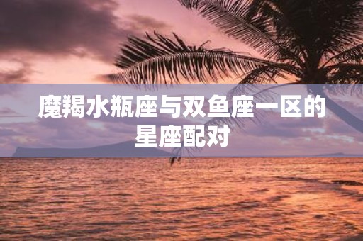 魔羯水瓶座与双鱼座一区的星座配对