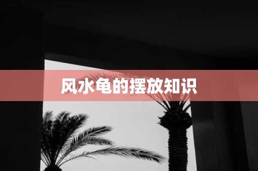 风水龟的摆放知识