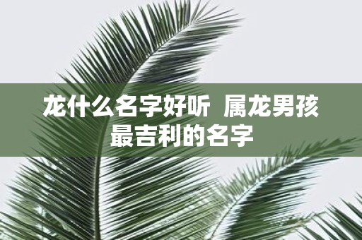 龙什么名字好听 属龙男孩最吉利的名字