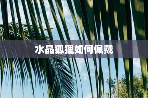 水晶狐狸如何佩戴
