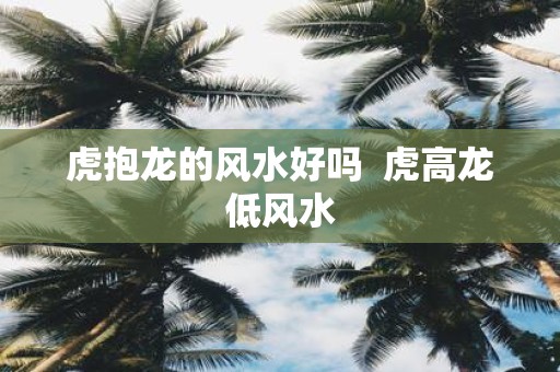 虎抱龙的风水好吗 虎高龙低风水