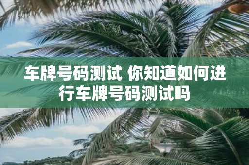 车牌号码测试 你知道如何进行车牌号码测试吗