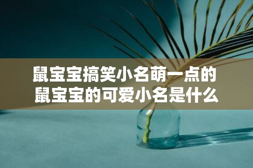 鼠宝宝搞笑小名萌一点的 鼠宝宝的可爱小名是什么