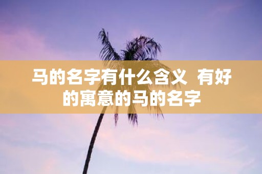马的名字有什么含义 有好的寓意的马的名字
