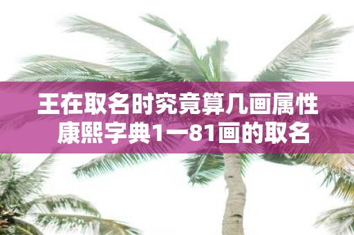 王在取名时究竟算几画属性 康熙字典1一81画的取名