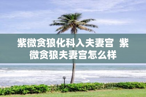 紫微贪狼化科入夫妻宫 紫微贪狼夫妻宫怎么样