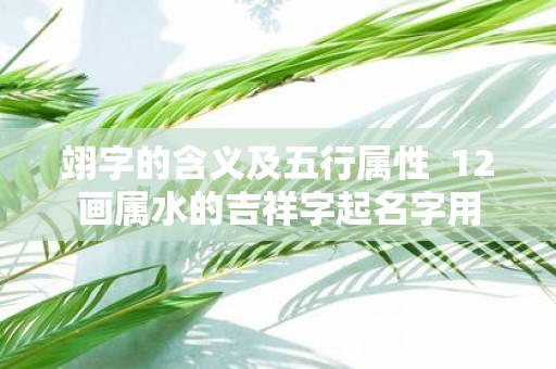 翊字的含义及五行属性 12画属水的吉祥字起名字用