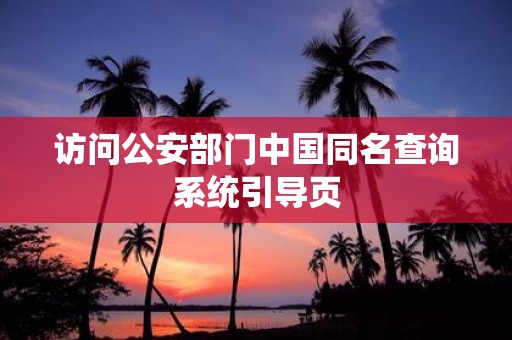 访问公安部门中国同名查询系统引导页