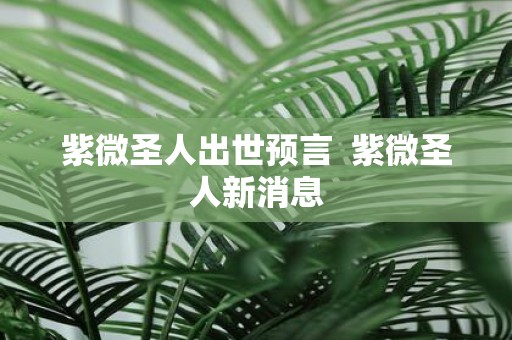 紫微圣人出世预言 紫微圣人新消息