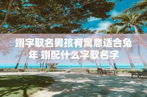 翊字取名男孩有寓意适合蛇年 翊配什么字取名字