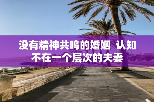没有精神共鸣的婚姻 认知不在一个层次的夫妻