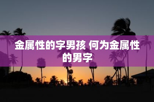 金属性的字男孩 何为金属性的男字