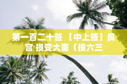第一百二十签 【中上签】艮宫 损变大畜（损六三