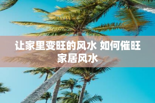 让家里变旺的风水 如何催旺家居风水