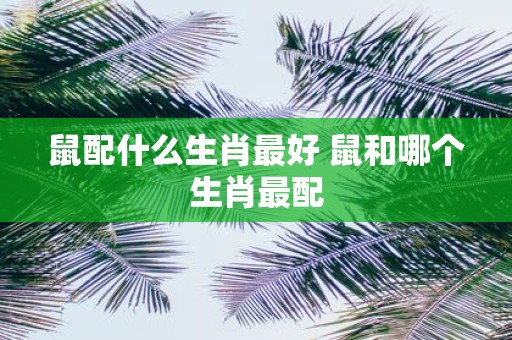 鼠配什么生肖最好 鼠和哪个生肖最配