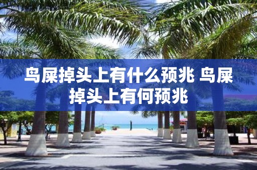 鸟屎掉头上有什么预兆 鸟屎掉头上有何预兆