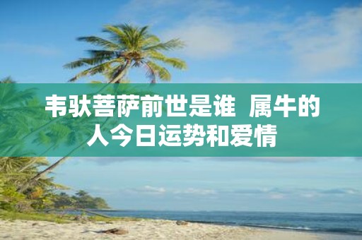 韦驮菩萨前世是谁 属牛的人今日运势和爱情