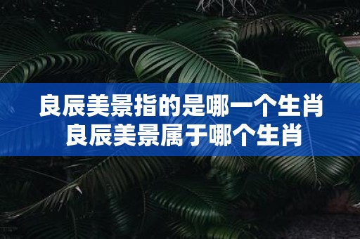 良辰美景指的是哪一个生肖 良辰美景属于哪个生肖