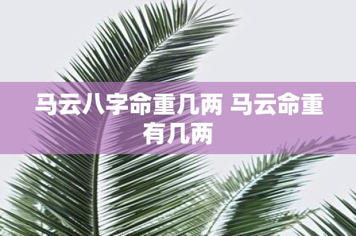 马云八字命重几两 马云命重有几两