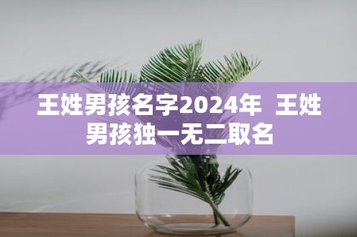 王姓男孩名字2025年 王姓男孩独一无二取名