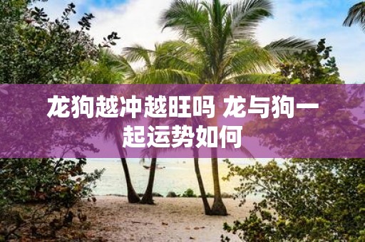 龙狗越冲越旺吗 龙与狗一起运势如何