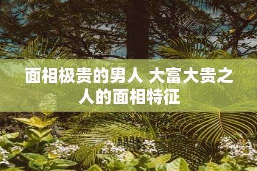 面相极贵的男人 大富大贵之人的面相特征
