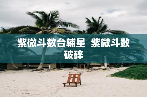 紫微斗数台辅星 紫微斗数破碎