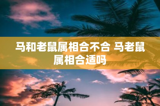 马和老鼠属相合不合 马老鼠属相合适吗